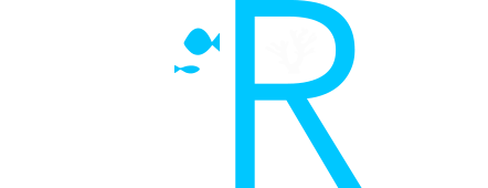 loader image