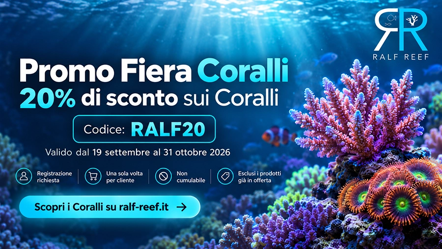 Promo Fiera Coralli